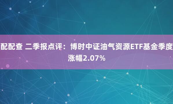 配配查 二季报点评：博时中证油气资源ETF基金季度涨幅2.07%