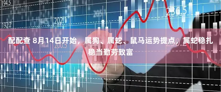 配配查 8月14日开始，属狗、属蛇、鼠马运势提点，属蛇稳扎稳当勤劳致富